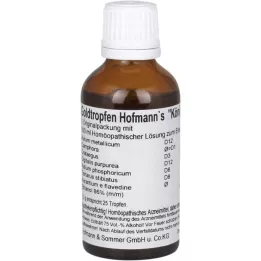 GOLDTROPFEN Königseer di Hofmann soluzione per uso orale, 50 ml