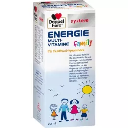 Doppelherz Sistema di famiglia Energy Liquid, 250 ml