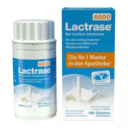 LACTRASE 6.000 FCC Confezione di ricarica per dispenser Tbl.Click, 480 pz