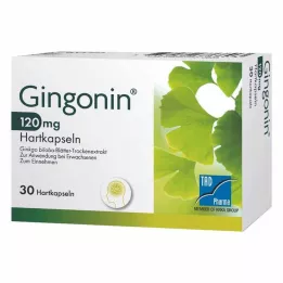 GINGONIN 120 mg capsule rigide, 30 pz