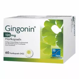 GINGONIN 120 mg capsule rigide, 60 pz