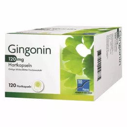 GINGONIN 120 mg capsule rigide, 120 pz