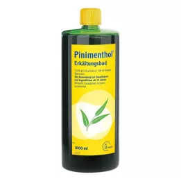 PINIMENTHOL Bagno freddo da 12 anni, 1000 ml