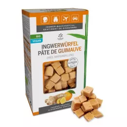 INGWER GINJER Cubetti di zenzero e arancia, 60 g