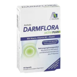 DARMFLORA Aktiv Plus 100 miliardi di batteri + 7 vitamine, 40 pz