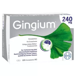 GINGIUM Compresse rivestite con film da 240 mg, 120 pz