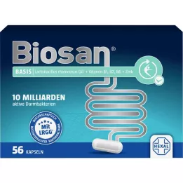 Base Biosan, 56 pz