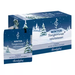WINTER-TEEGENUSS Bustine filtro cannella cardamomo zenzero, 20X2,5 g