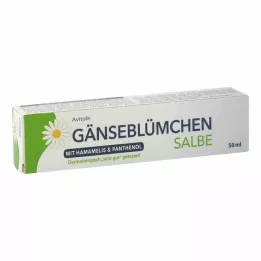 GÄNSEBLÜMCHEN Unguento allamamelide & Pantenolo, 50 ml
