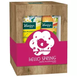 Kneipp Pacchetto regalo Ciao primavera, 2x200 ml