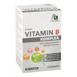 VITAMIN B KOMPLEX capsule, 120 pz