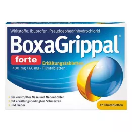 BOXAGRIPPAL compressa forte fredda. 400 mg/60 mg FTA, 12 pz