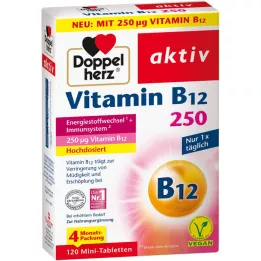 Doppelherz Vitamina B12 attiva 250 μg, 120 pz