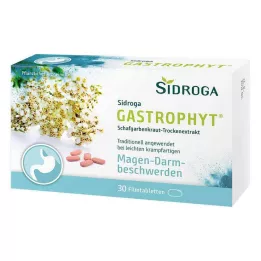 SIDROGA GastroPhyt 250 mg compresse rivestite con film, 30 pz