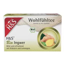 H&S Buste filtro zenzero biologico, 20X2 g