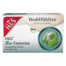 H&S Bustine filtro per tè biologico per il digiuno, 20X1,5 g