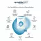 SPERMIDINELIFE Capsule Memory+, 60 pz