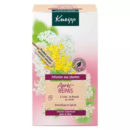 Kneipp Tisana dopo aver mangiato, 20 pz