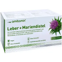Amitamin Cardo mariano + capsule di fegato (120 pezzi)
