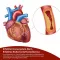 Capsule Beh Artery+ (90 pezzi)