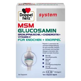 Doppelherz MSM Capsule del sistema di glucosamina, 60 pz