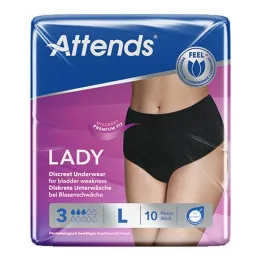 Frequenta Lady Discreet Intimo 3 L, 10 pz