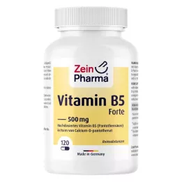 VITAMIN B5 PANTOTHENSÄURE 500 mg capsule, 120 pz