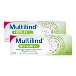 MULTILIND Unguento curativo con nistatina e ossido di zinco, 2X50 g