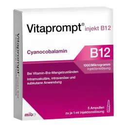 Vitaprompt injekt B12 1000 µg soluzione iniettabile, 5X1 ml