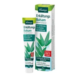 Balsamo freddo Kneipp, 45 g