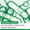 Bioticloges subtilis capsule, 30 pz
